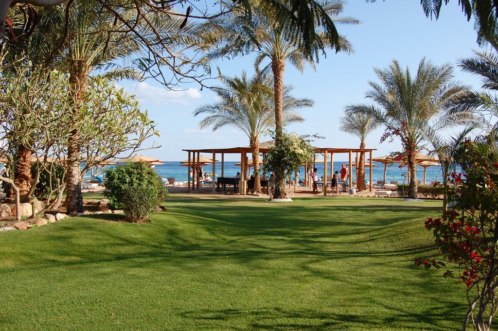 Sharm el Sheik 40